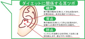 耳つぼダイエット